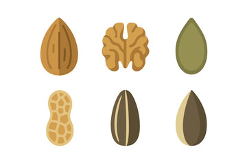 Assortment of healthy nuts and seeds featuring almond, walnut, peanut, pumpkin, and sunflower varieties