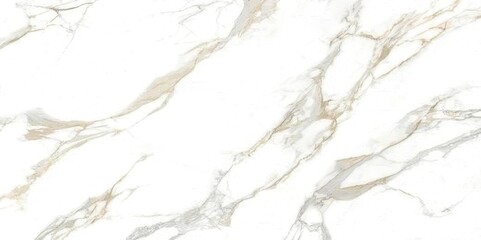 natural White marble texture for skin tile wallpaper luxurious background. Creative Stone ceramic...