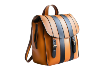 Casual striped leather backpack isolated on transparent background