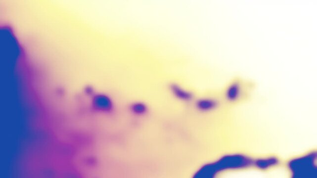 Graphic animation en boucle with dark blue, blurred spots or clouds on a light yellow background.