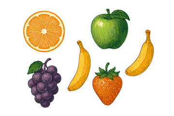 Assortment of fresh fruits in vintage engraved style including orange, apple, banana, grapes, and strawberry