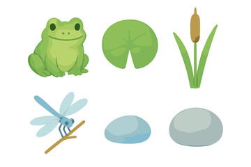 Cute green frog, blue dragonfly, lily pad, cattail, and smooth stones in a pond nature scene