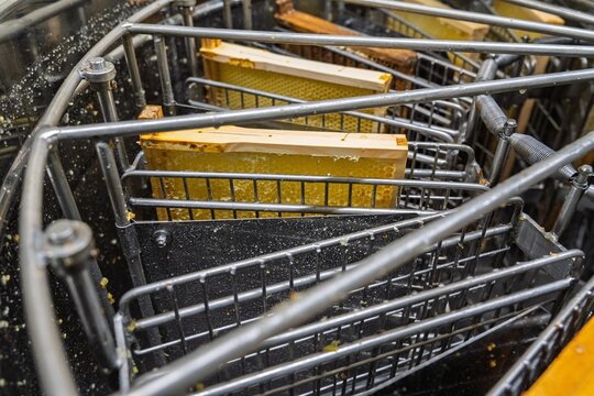 Discover the essence of honey production with a close-up of honey-filled frames in an extractor. Ideal for showcasing beekeeping, agriculture, and the natural food industry.