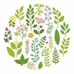 A collection of plants from the collection by person
4