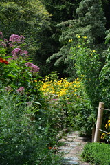 A narrow stone path winds through a lush cottage garden, surrounded by an abundance of tall, colorful summer flowers