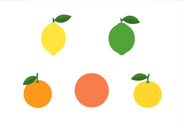 Vibrant collection of fresh colorful citrus fruits including lemon, lime, orange, and grapefruit on a clean white background