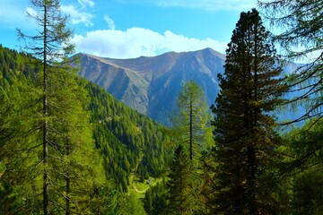 Mountains at Sölktäler nature park with conifer trees and a forest bellow in Niedere Tauern, Styria, Austria