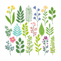 A collection of flowers with the word flower on it.
4