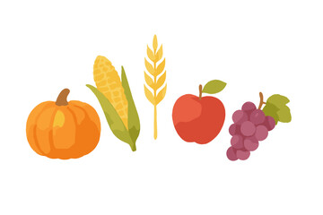 Colorful autumn harvest produce collection featuring pumpkin, corn, wheat, apple, and grapes on white background