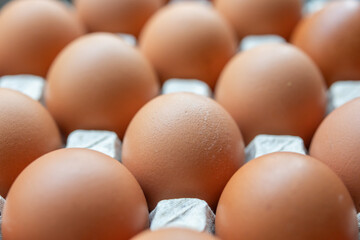 Fresh organic brown chicken eggs in cardboard tray