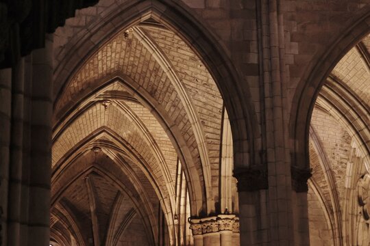 Techo con vueltas de catedral gotica