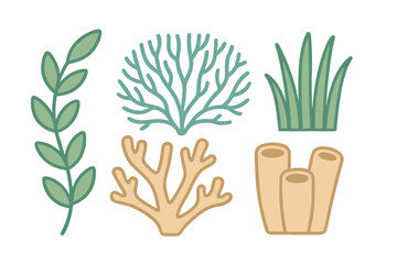 Stylized collection of diverse marine plants, seaweed, and coral reef elements presented in a clean graphic design, ideal for various aquatic and underwater themes