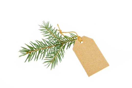 brown christmas card or gift tag with fir tree twig isolated on white or transparent png