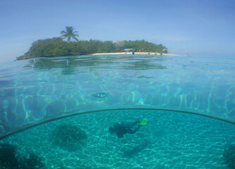 Exotic Island with Coral Reef in the Caribbean Sea