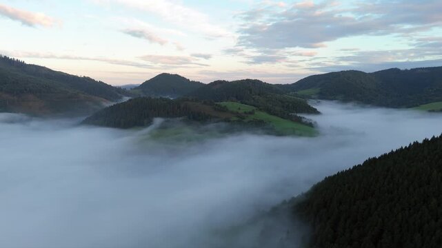 Aerial View of a Fog-Filled Mountain Valley and Forested Hills , carpathians mountains