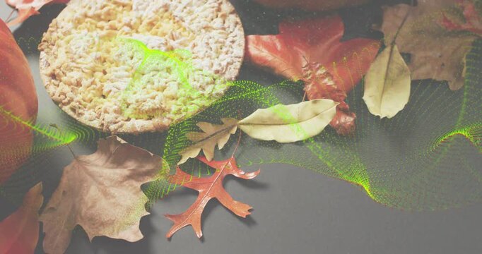 At start green waveform drifting around crispbread as camera panning right showcasing autumn scene