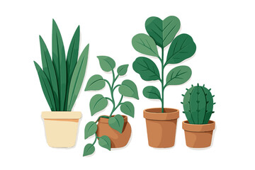 Various green plants displayed in simple terracotta and cream pots for a fresh indoor decor