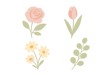 Floral illustrations featuring rose, tulip, daisies, and greenery on a white background for a fresh and vibrant feel