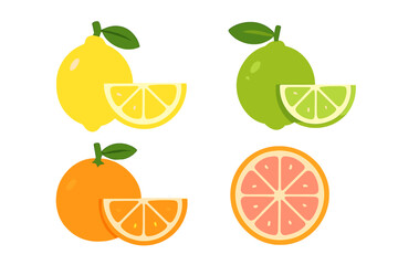 Colorful citrus fruits on a white background showcasing lemons, limes, oranges, and grapefruits in fresh slices