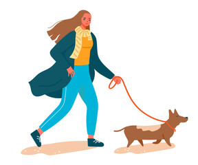 Modern woman walking with dog on leash.  Stylish female in heels going with corgi puppy. Flat vector illustration of passerby isolated on transparent background