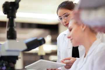 Two pathologists engage in a peer consultation, cross-referencing microscopic findings with patient data to finalize a complex histopathology report for an oncology case.