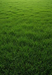Obraz premium Lush Green Grass Field with Dense Fresh Vegetation in Natural Outdoor Setting