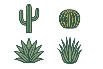 Various cactus and succulent illustrations created in a simple, colorful style perfect for desert-themed designs