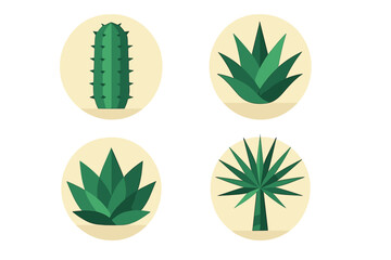 Four types of green plants in circular designs showcasing their unique shapes and textures for decoration or educational purposes
