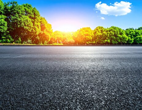Asphalt road stretching into a park with lush green trees under a bright blue sky