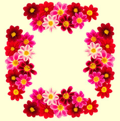 autumn. Floral natural composition of autumn flowers dahlia on a yellow background. For design.