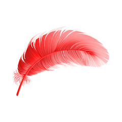 A single vibrant red feather with delicate wispy barbs gracefully floating and isolated on transparent background