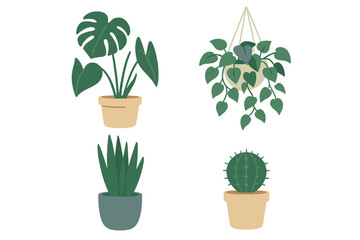 Collection of various houseplants in simple pots showcasing different shapes and textures for indoor decoration