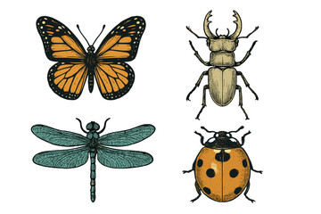 Collection of illustrated insects featuring a butterfly, beetle, dragonfly, and ladybug in detailed art style