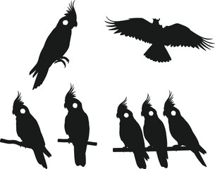 Cockatoo and raptor silhouette vector set, perched and flying poses, black shapes with crest and wings, nature artwork for wildlife and design