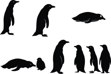 Naklejka premium Penguin bird silhouette vector set, standing, lying, and social poses, black shapes with chick detail, nature artwork for wildlife, decor, and design