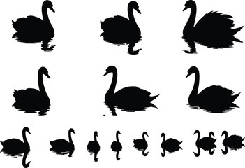 Swan bird silhouette vector set, floating and standing poses, black shapes with water reflections, nature artwork for wildlife, decor, and design