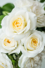 Closeup of white roses bouquet with green leaves in soft natural light