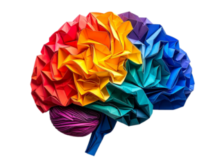 Origami rainbow brain creative concept, paper folds highlight anatomical regions, symbolizing art, neuroscience, learning, imagination, and diversity on white background.