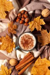 Warm autumn beverage with cinnamon, hazelnuts, walnuts on cozy plaid