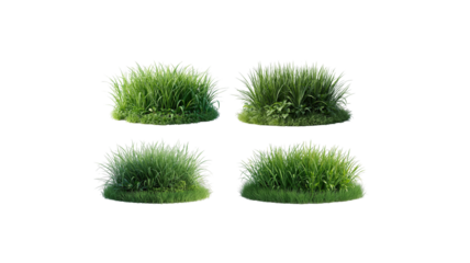green grass clump on transparent background