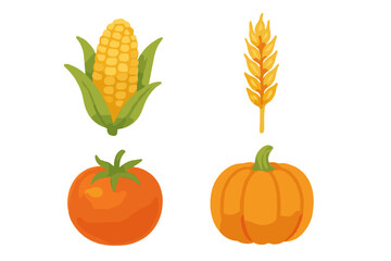 Colorful autumn harvest of corn, wheat, tomato, and pumpkin in simple artwork