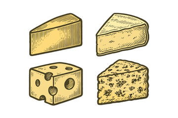 Cheese varieties displayed in detailed illustrations with distinct textures and shapes