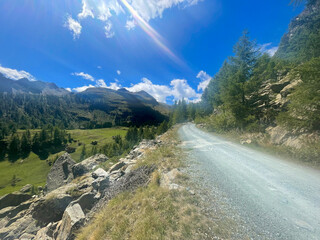 Scenic mountain trail in the Mont Avic Natural Park near Champorcher, Aosta Valley, Italy. A gravel road winds through a forested alpine landscape, flanked by rocky slopes and grassy meadows.
