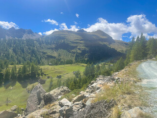 Scenic mountain trail in the Mont Avic Natural Park near Champorcher, Aosta Valley, Italy. A gravel road winds through a forested alpine landscape, flanked by rocky slopes and grassy meadows.