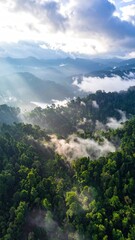 Fototapeta premium Misty mountain range with lush green forests. Sunlight filters through clouds