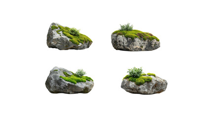 moss stone on transparent background