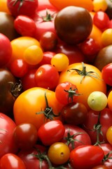 Different ripe juicy tomatoes as background, closeup