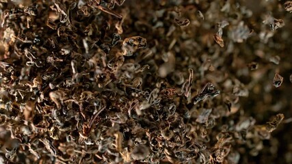 Super Slow Motion Shot of Flying Tea Mix Isolated on Black Background at 1000fps.
