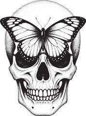 Skull with Butterfly and Stippled Background monarch butterfly insect