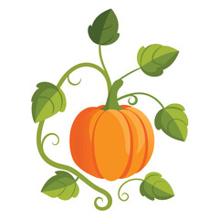 Pumpkin Plant Vector Illustration with Vines and Leaves Cucurbita Botanical Graphic.eps